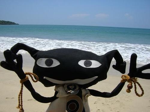 きれいな海に感動のオレ